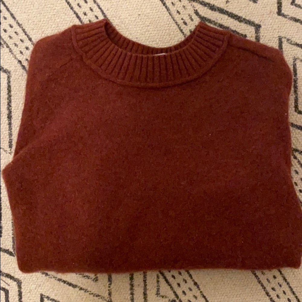 Everlane cashmere crew sweater